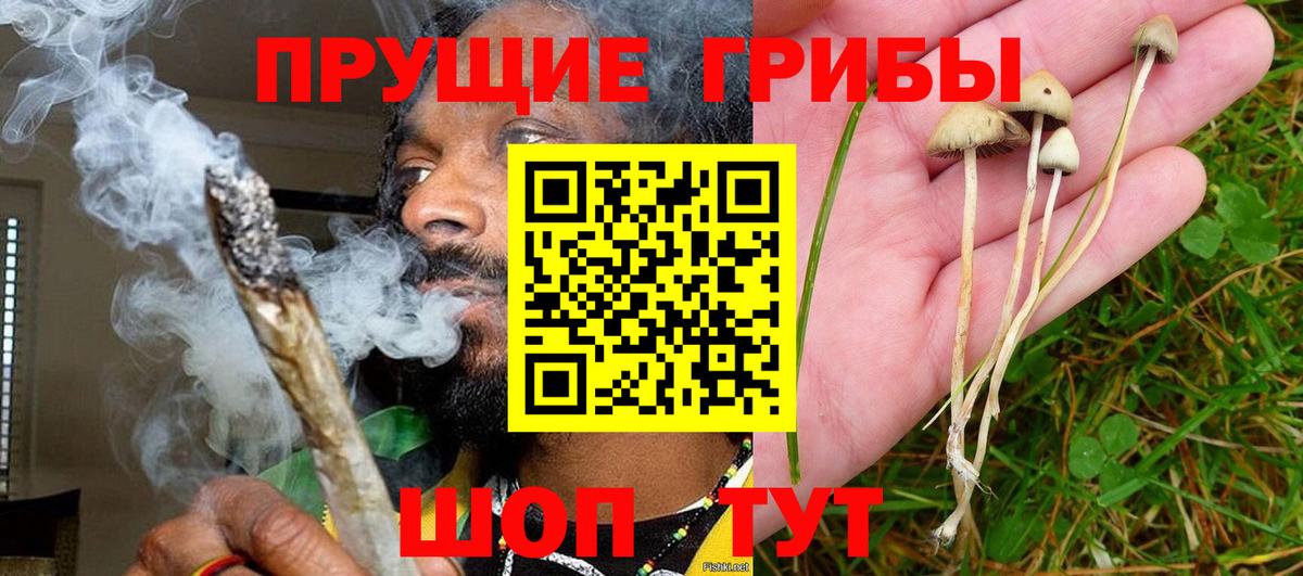 Славянск-на-Кубани  Галлюциногенные грибы Cubensis  Вход с VPN 